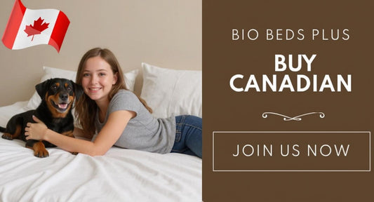 Smiling woman with dog on bed promoting Canadian organic mattresses.