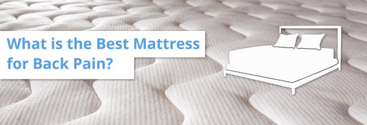 Ideal mattress for back pain - Bio-Beds Plus