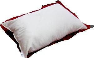 All You Need to Know About Natural Eco-Wool Pillows - Bio-Beds Plus